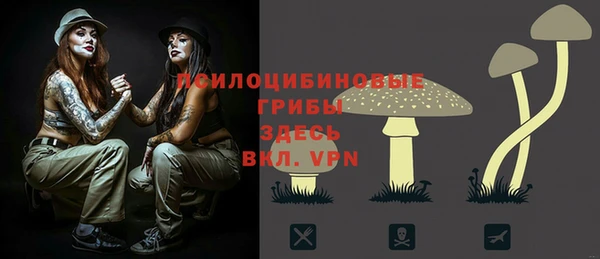 mix Киренск