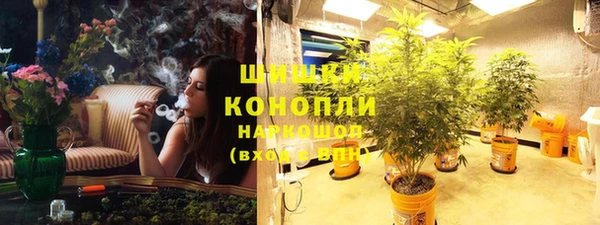 соль ск Козловка