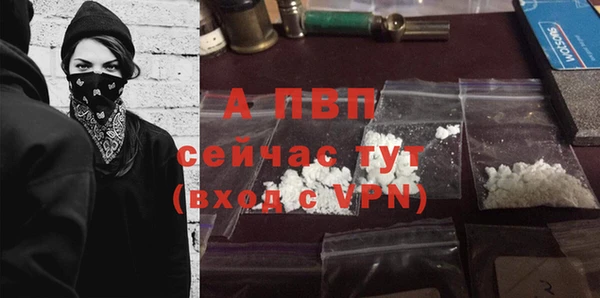соль ск Козловка