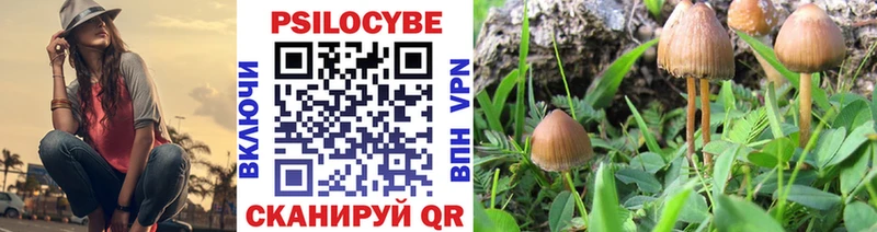 Псилоцибиновые грибы прущие грибы  Купить  Дюртюли 